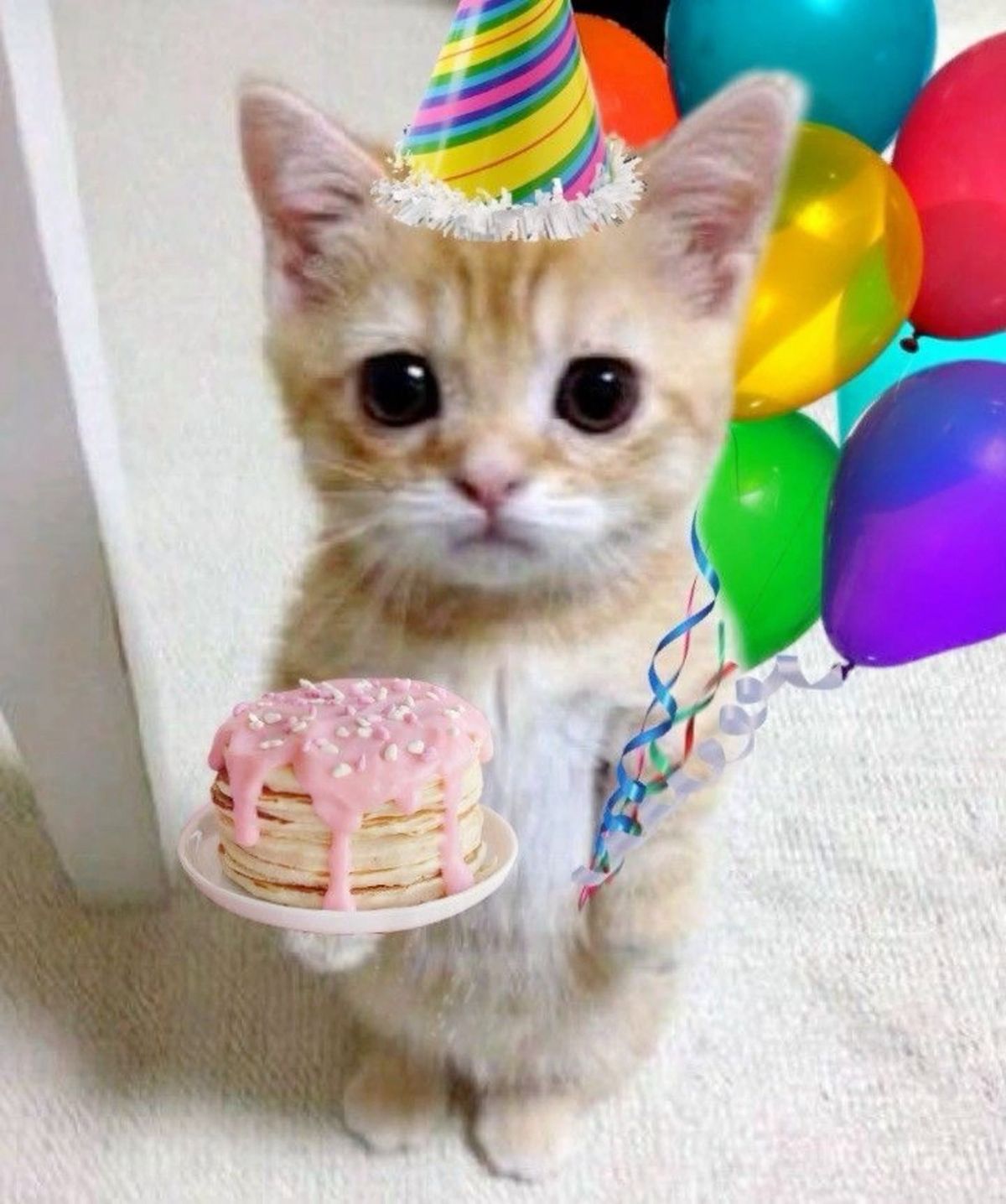 Birthday JPG